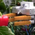 La robótica aplicada a las tareas agrícolas aspira a reemplazar a los trabajadores del campo