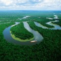 Desmontando mitos: La selva del Amazonas NO es el “pulmón de la Tierra”