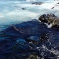 Vertido de petróleo en la playa grancanaria de El Cabrón