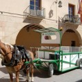 Un pueblo de Alicante recogerá la basura en carro de caballos