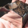 Meteorito cortado y pulido