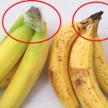 Un simple truco para mantener las bananas frescas