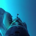 Tiburón blanco vs robot sumergible