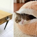 25 asombrosas ideas de diseño para amantes de los gatos [eng]