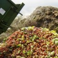 El escándalo del desperdicio mundial de alimentos