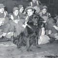 Gander, el perro que se sacrificó para salvar a los soldados heridos del Royal Rifles de Canadá