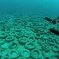 Cuando la estupidez no tiene límites, Osborne Reef: un fallido arrecife artificial hecho de viejos neumáticos