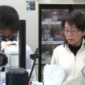 Japón realiza el primer implante mundial de células reprogramadas iPS