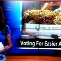 Reportera de televisión renuncia a su puesto en directo para promover la legalización de la marihuana en Alaska