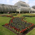 El Royal Botanic Garden de Kew inicia un festival en el cual los visitantes pueden probar plantas alucinógenas [ENG]