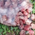 Identificada mujer por depositar en unos jardines públicos de Lucena alimentos envenenados, con cristales y alfileres