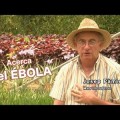Ébola en Madrid: La puesta en escena de las Autoridades Sanitarias y la realidad entre bastidores