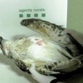 Matan a tiros un águila pescadora y un tarro blanco en el Delta del Ebro