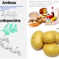 La arqueobacteria que convirtió una patata en el perfume más innovador del mundo