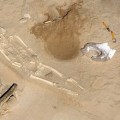 Aparecen restos óseos humanos en el solar de la antigua Comandancia de la Guardia Civil de Cádiz