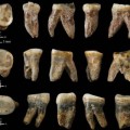 Una especie humana desconocida pudo habitar China durante el Pleistoceno