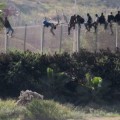 Lo que no se ve en la foto del campo de golf frente a la valla de Melilla