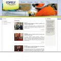 Cofely, empresa de la trama "Púnica", borra de su web las noticias de adjudicaciones con alcaldes implicados