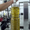 Dcoop, líder mundial de producción de aceite de oliva, le pasa factura a los bancos