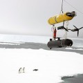 Drone submarino traza el primer mapa 3D bajo el hielo marino antártico (ING)