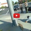 Dramático video de un hombre que se niega a echarse ante la policía, a pesar de las pistolas que le apuntan [ENG]