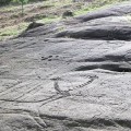 Un tractor destroza un petroglifo del parque rupestre de Campo Lameiro