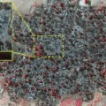 Estas fotografías de satélite muestran la verdadera escala de uno de los últimos ataque de Boko Haram
