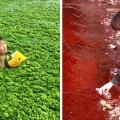 40 fotos que muestran el grave efecto de la contaminación en China