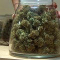 El cannabis en Colorado está dando tanto dinero en impuestos que parte se repartirá entre sus habitantes [EN]