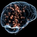 ¿Cómo recupera el cerebro los recuerdos traumáticos?