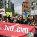 Monsanto derrotada retirará sus transgénicos de Europa, salvo de España y Portugal