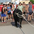 Festejos taurinos, el esperpento español