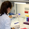 España tiene el primer centro del mundo que biopsa tumores con un simple análisis de sangre