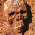 Evidencias en el norte de Sudán del primer conflicto armado a gran escala en la historia humana: hace 13.000 años