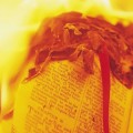 Isis quema miles de manuscritos y libros raros de la biblioteca de Mosul (Eng)