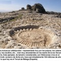 Fósiles: El mar en la montaña