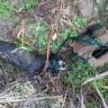 Brutal matanza de perros y gatos torturados en Cullera desde noviembre