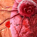Científicos transforman células de cáncer en inofensivos glóbulos blancos