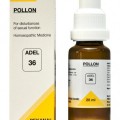 Pollon: el producto homeopático definitivo contra la disfunción sexual