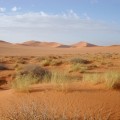 El clima de España se parecerá al del norte de África en 2050