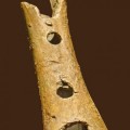 Los neandertales no hacían flautas de hueso. Eran mordiscos de híena