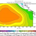 Una burbuja cálida en el Océano Pacífico explica la sequía de California