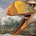Hallan en Mar del Plata (Argentina) los restos de un ave del terror prehistórica