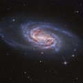 NGC 2903, la galaxia ausente