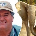 Cazador profesional muere pisoteado por un elefante toro al que pretendía matar en una cacería en Zimbawe (ENG)