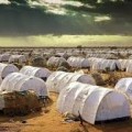 Acnur rechaza repatriación forzosa de somalíes