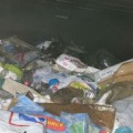 Arrojan un cachorro a un contenedor de residuos en Zamora