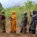 Lo que sucede cuando las indígenas gestionan la selva en India