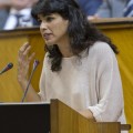El "no tienes ni puta idea" a una diputada de Podemos calienta más el Parlamento andaluz