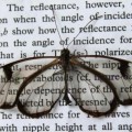 Una mariposa puede esconder el secreto para hacer mejores pantallas